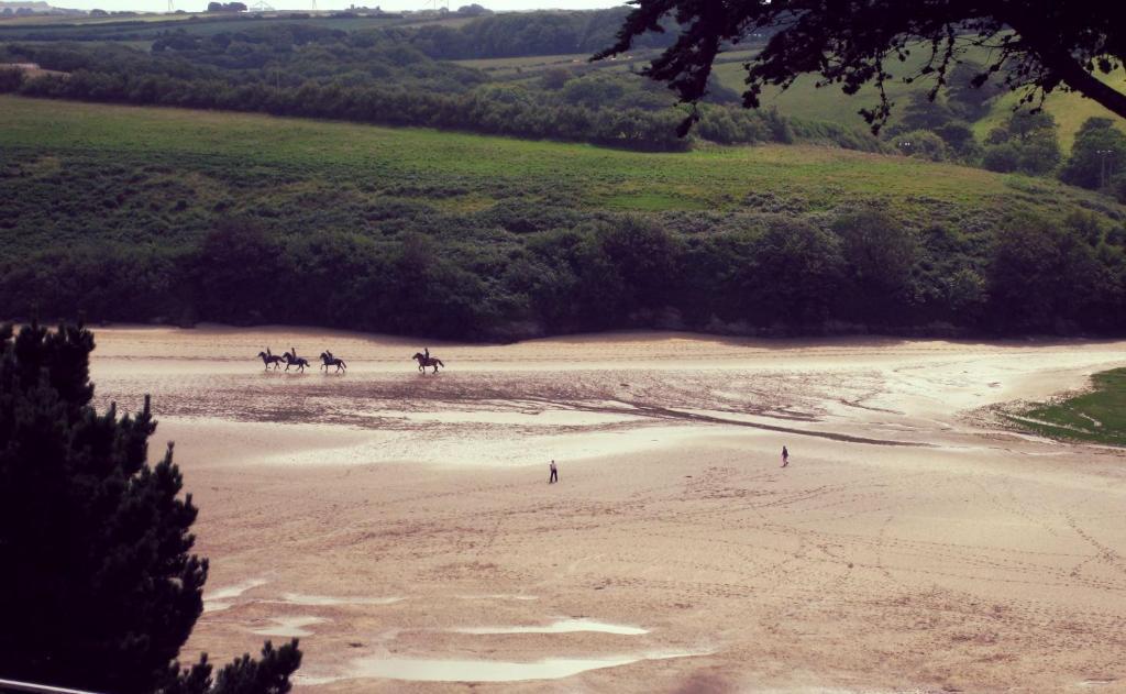 California 3* Newquay (Cornwall)